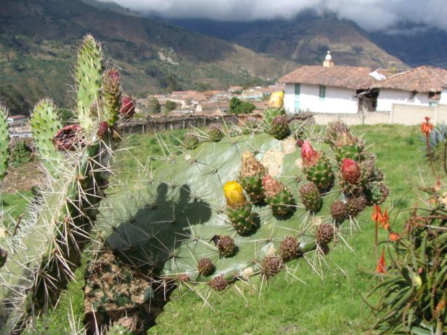 Colombia 238.jpg